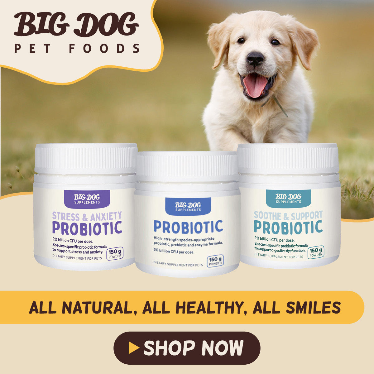 Big Dog Treats and Supplements