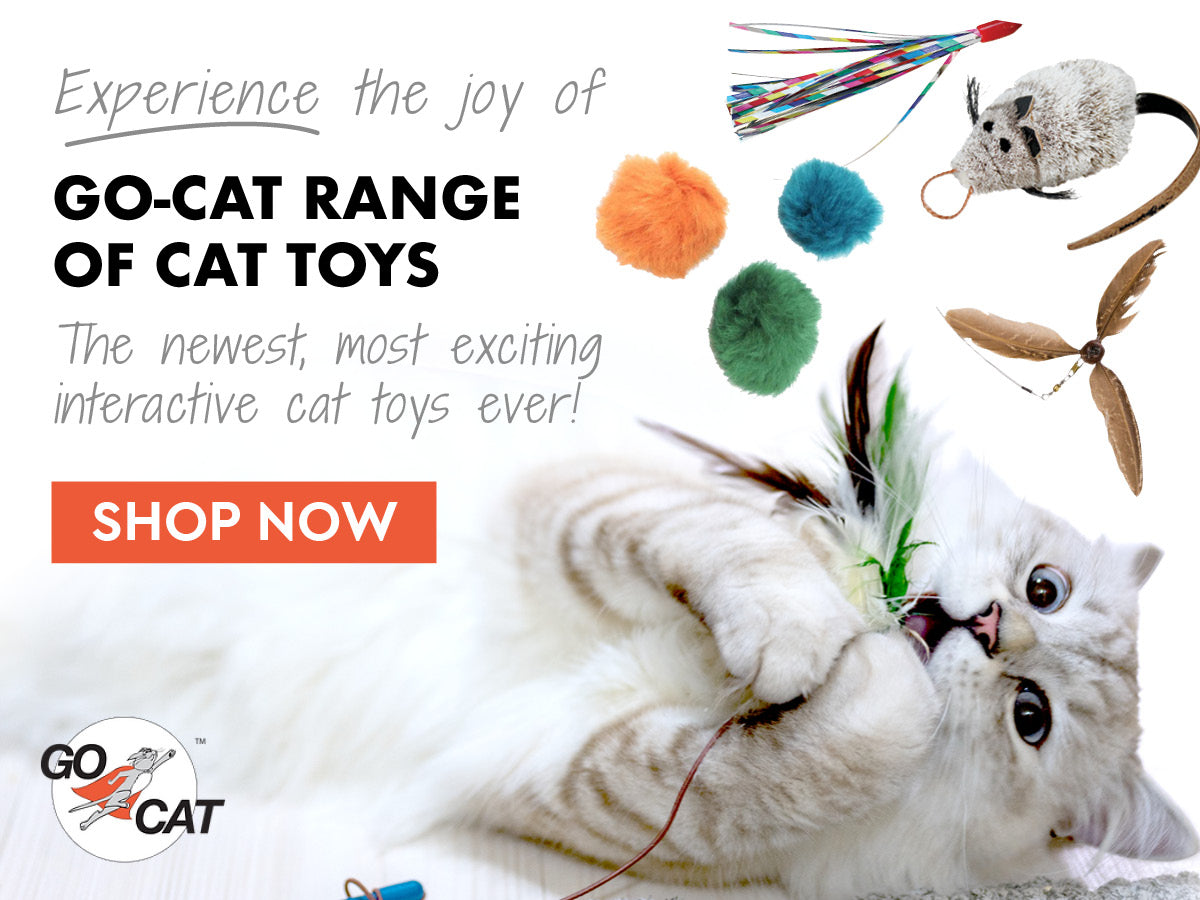 Go-Cat Interactive Cat Toys