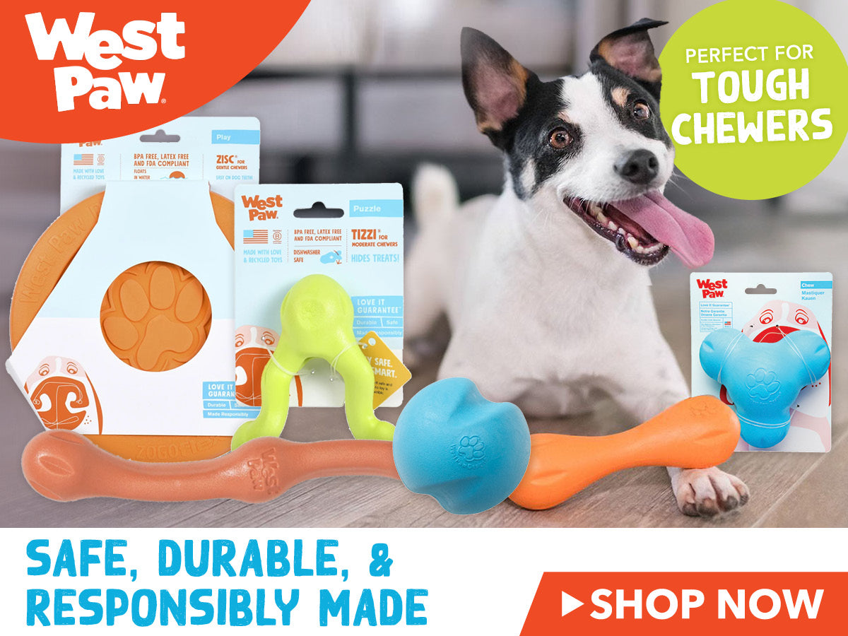 West Paw Responsibly Made Dog Toys