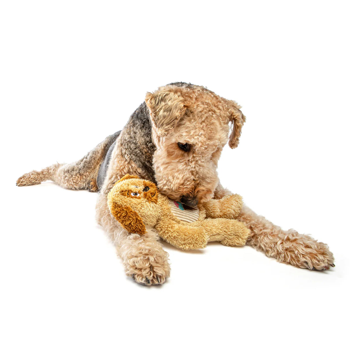 Guru Soft Scents Dog