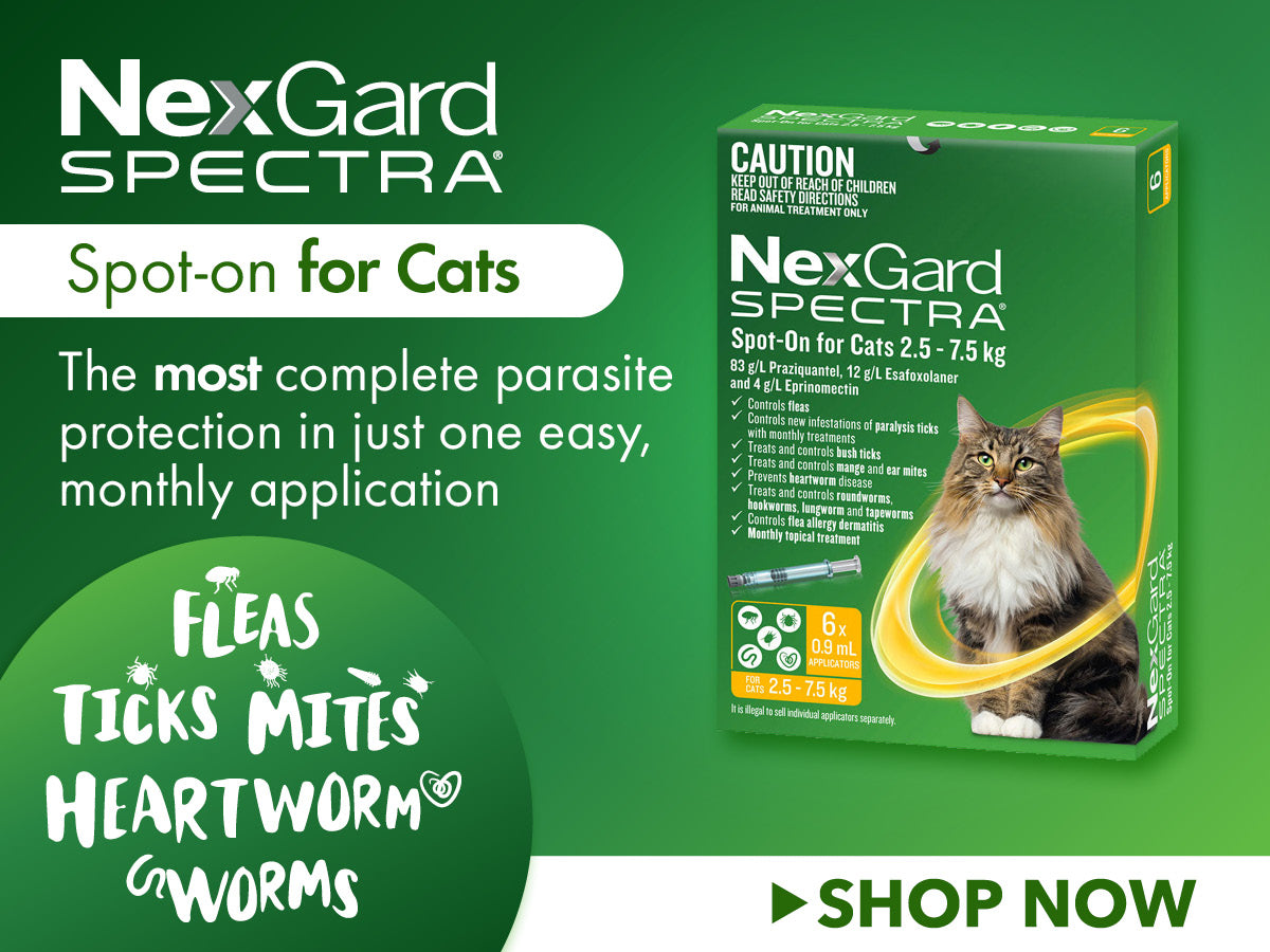 NexGard Spectra Spot-On for Cats