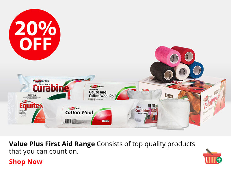 Value Plus First Aid Range ON SALE NOW