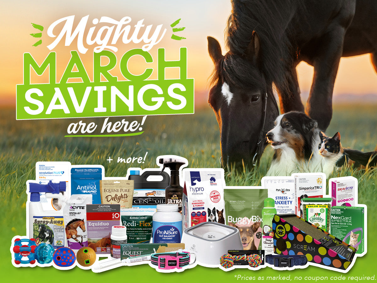 Savings On Pet Products for March 