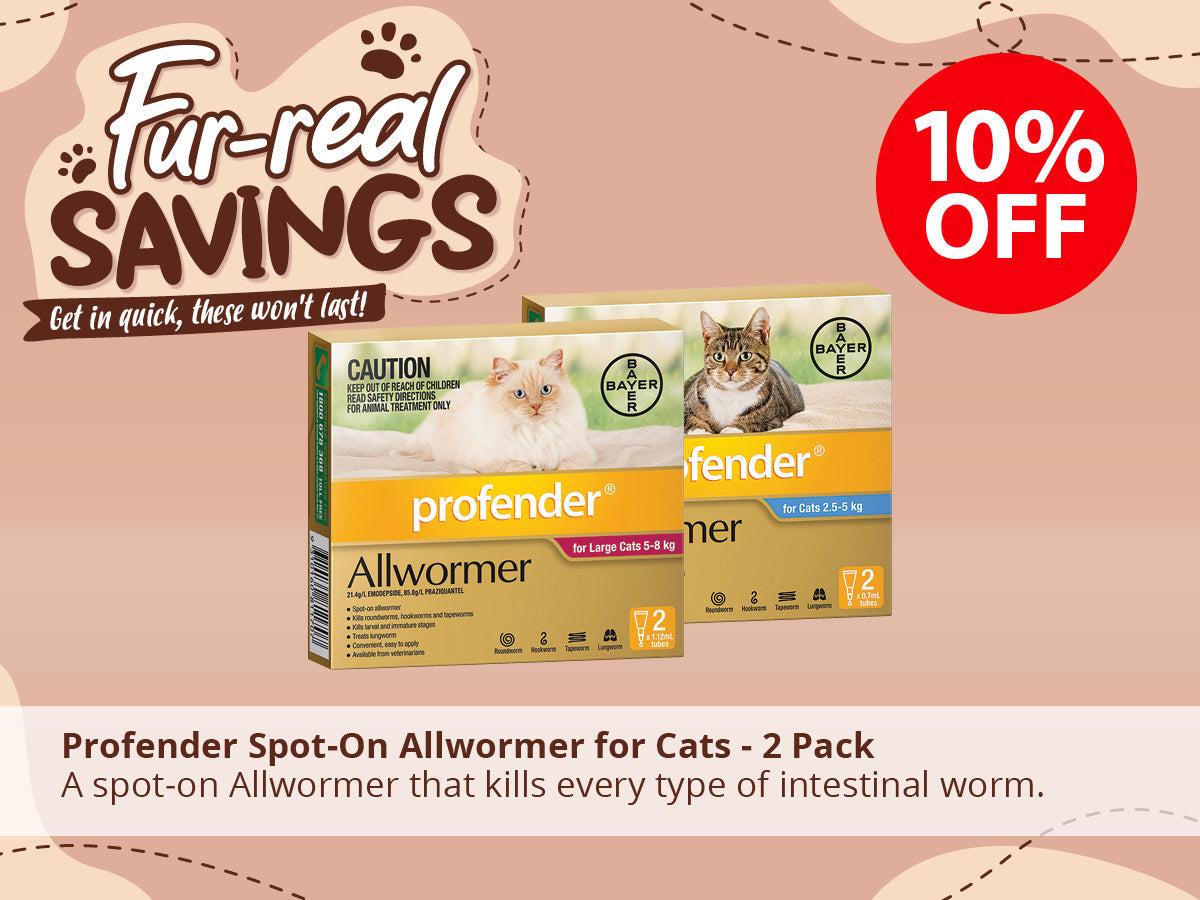 Profender All Wormer for Cats ON SALE NOW