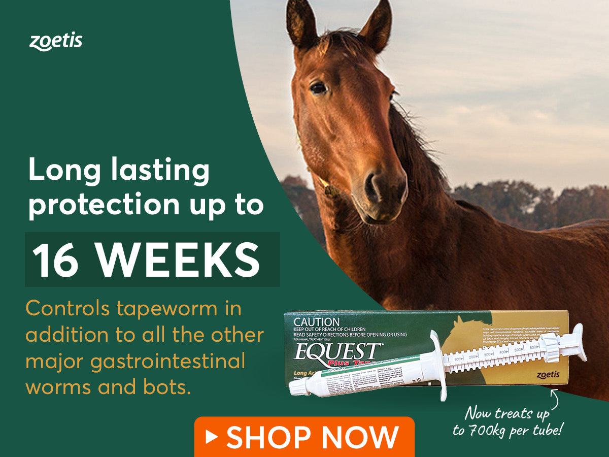 Equest Plus Tape Horse Wormer ON SALE NOW