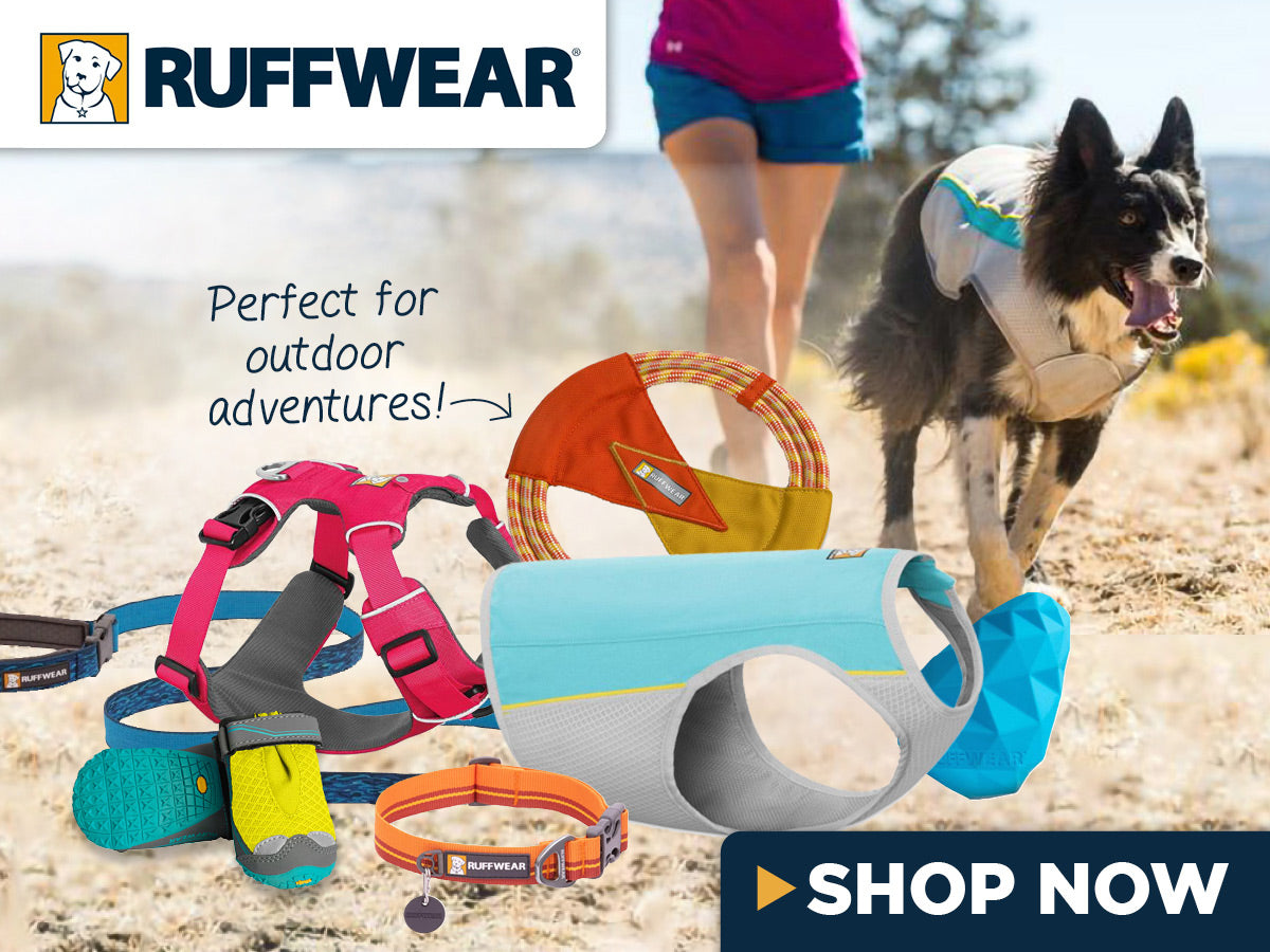 Ruffwear Adventure Gear for Dogs