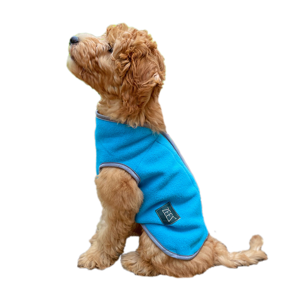 ZeeZ Cozy Fleece Dog Vest - Arctic Blue