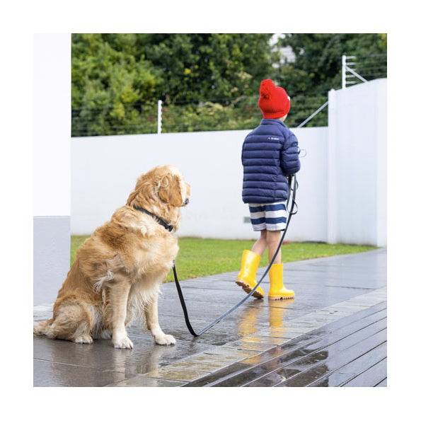 Rogz Amphibian Training Line