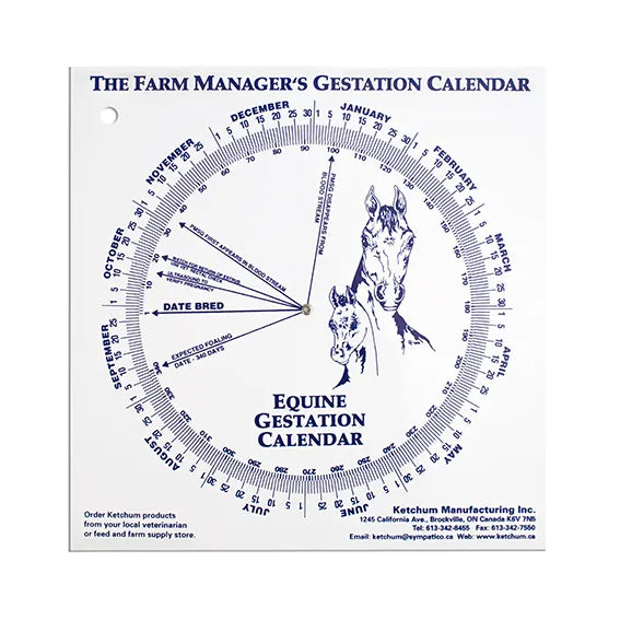 Equine Gestation Calendar