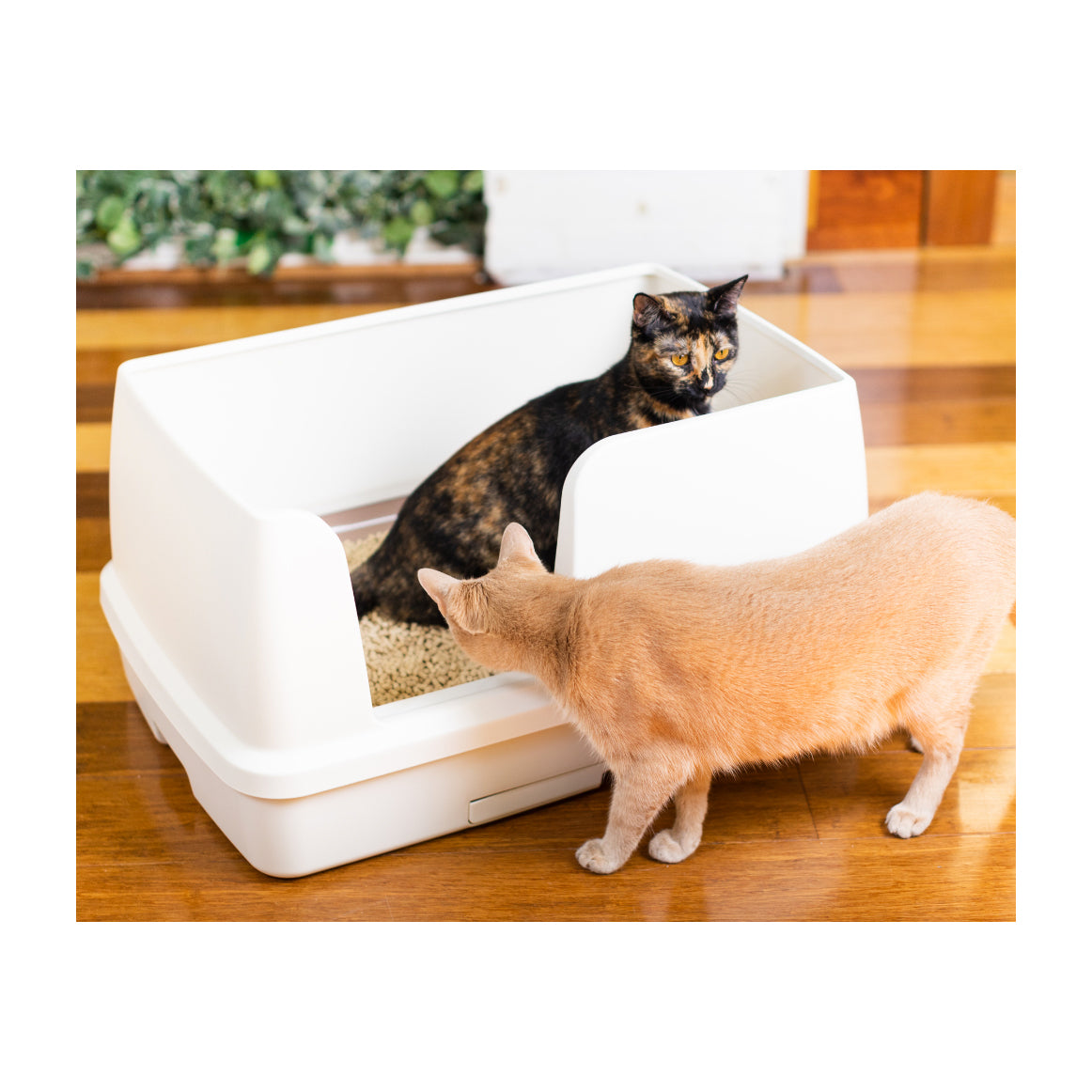 Ezi-LockOdour Dual Layer Cat Litter Tray System XL