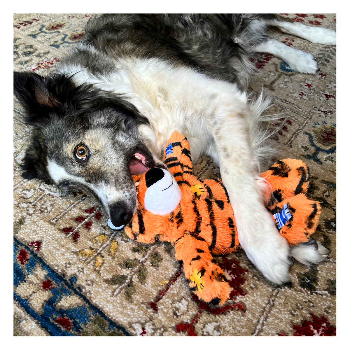 KONG Wild Knots Tiger