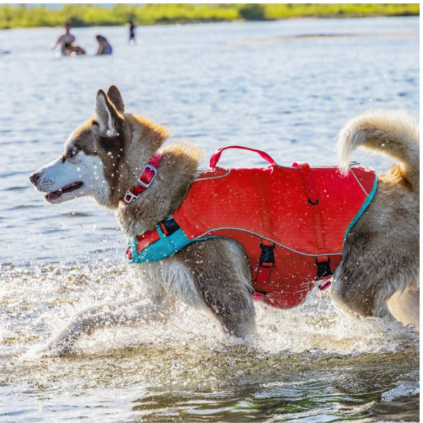 Kurgo Surf n' Turf Dog Life Jacket Red vet-n-pet DIRECT