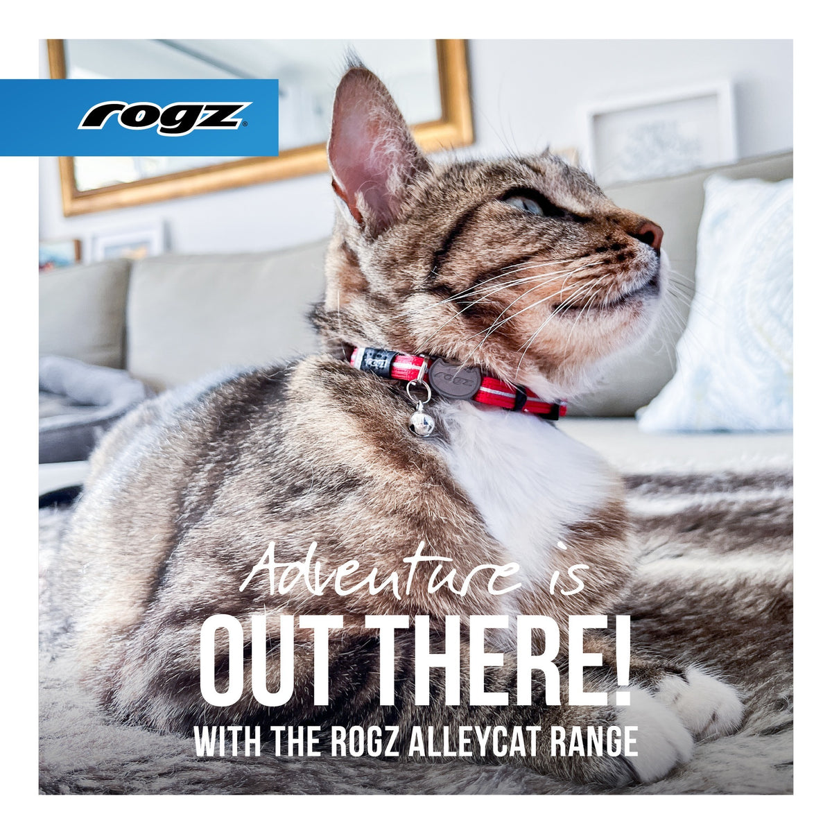 Rogz AlleyCat Safety Release Cat Collar
