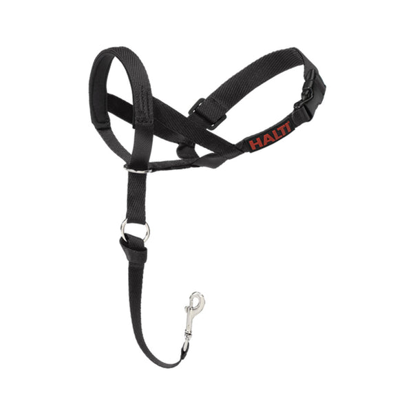 Halti Headcollar vetnpet DIRECT