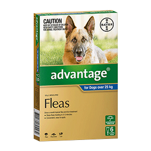 Advantage for Dogs Over 25kg