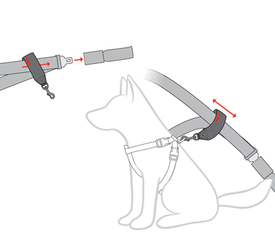 EzyDog Car Restraint vet-n-pet DIRECT