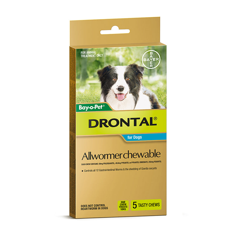 Drontal Allwormer Chewable (Bay-O-Pet)