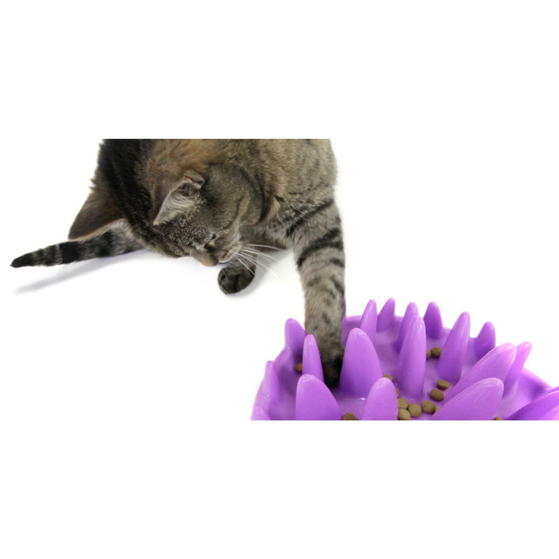 Catch Slow Feeder for Cats