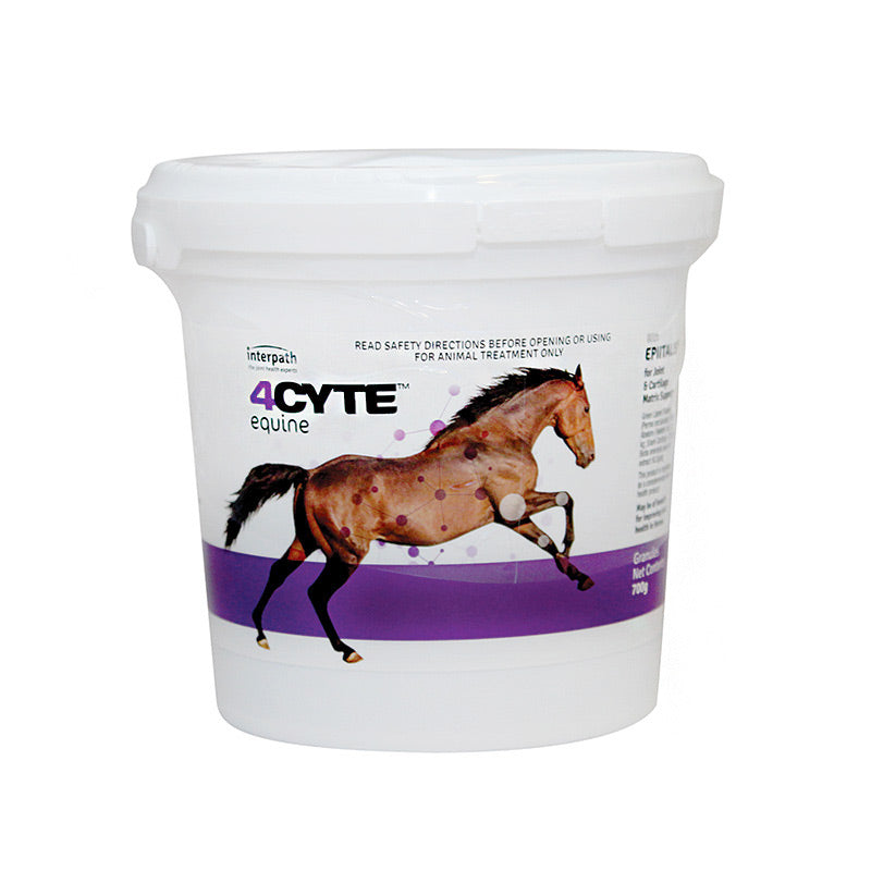 4CYTE Horse  Joint Treatment Granules