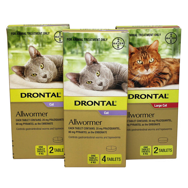 Drontal Cat Worming Tablets vetnpet DIRECT