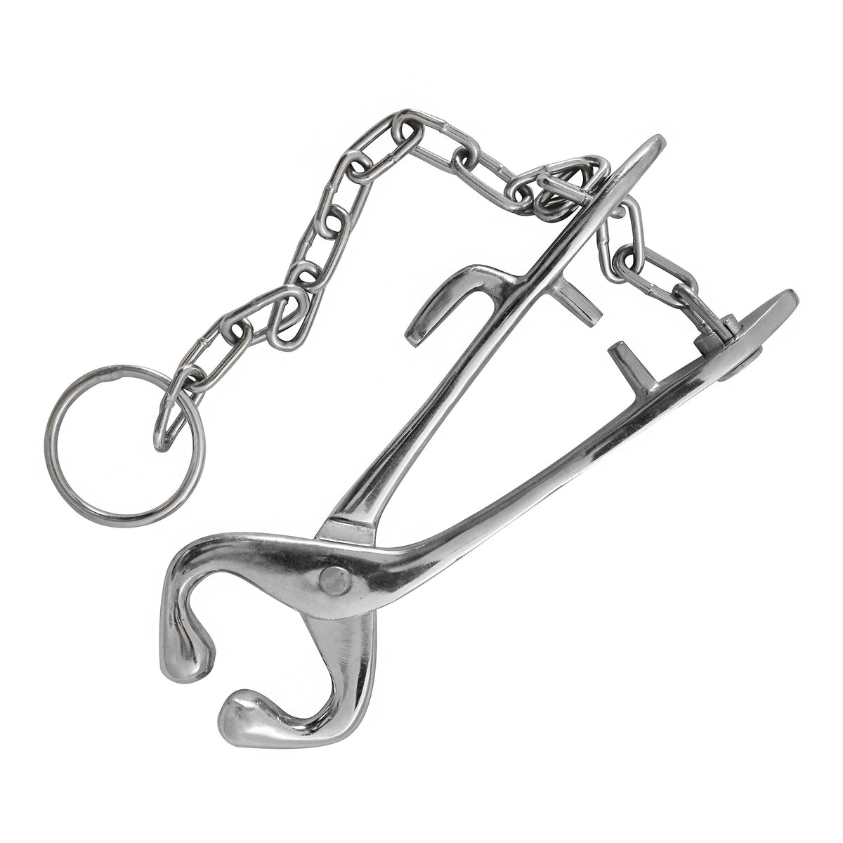 Bull Holder Pliers with Chain
