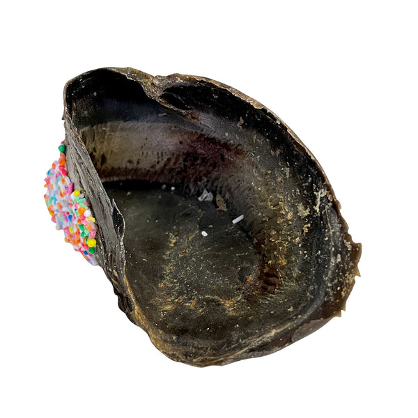 Huds & Toke Twinkle Toes Cow Hoof Dog Treat 1 piece vetnpet DIRECT