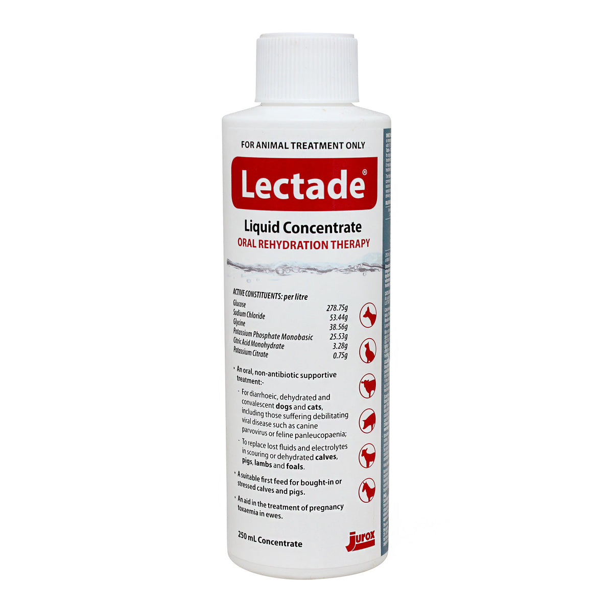 Lectade Concentrate