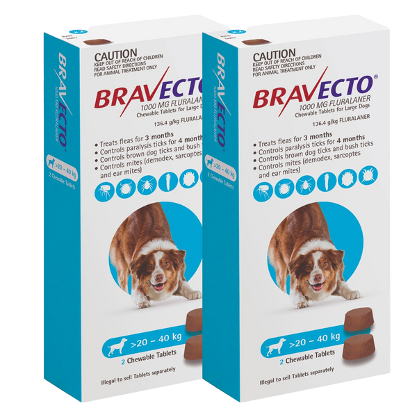 Bravecto with food hot sale