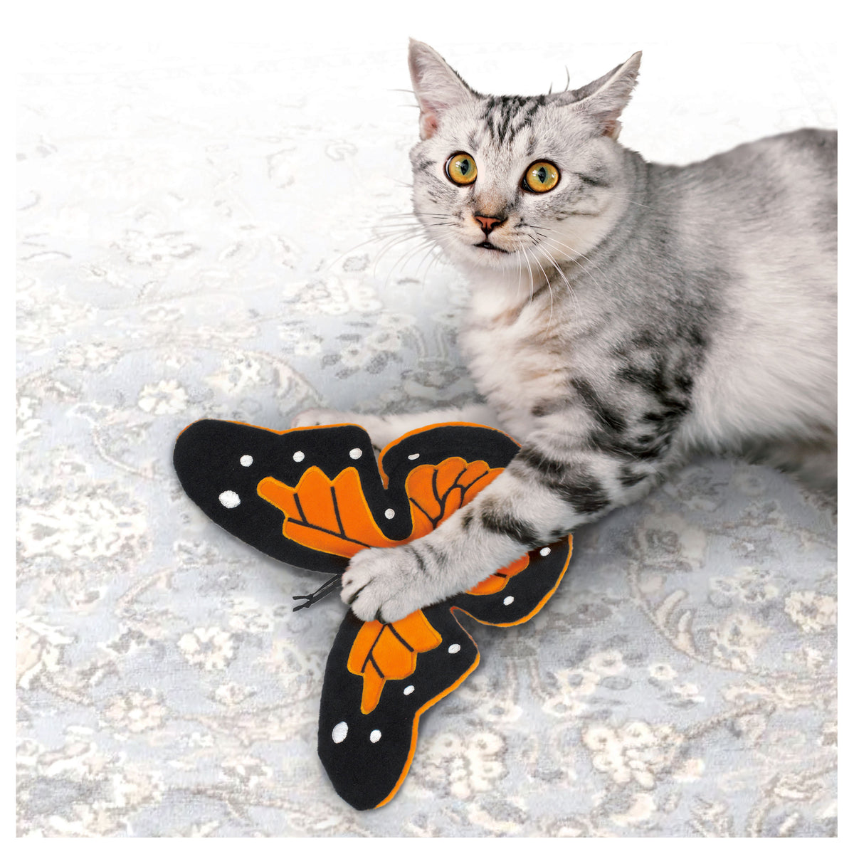 KONG Crackles Flutterz