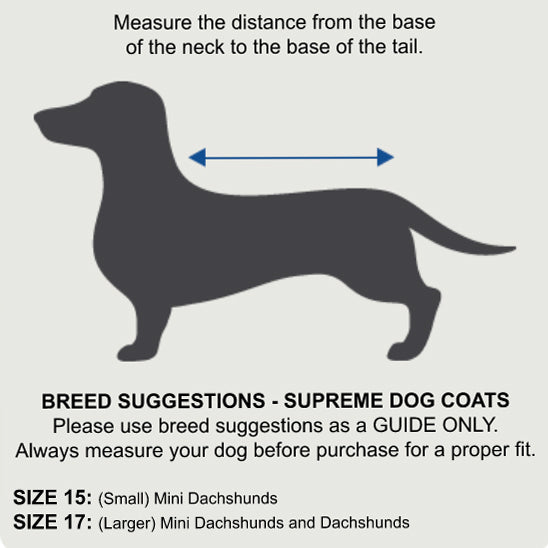 ZeeZ Supreme Dachshund Dog Coat Mint Green/Grey vet-n-pet DIRECT