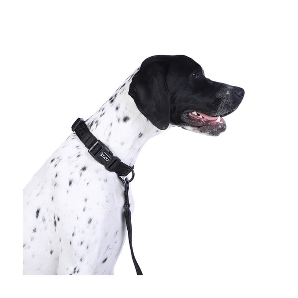 DOOG Neosport Neoprene Dog Collar vetnpet DIRECT