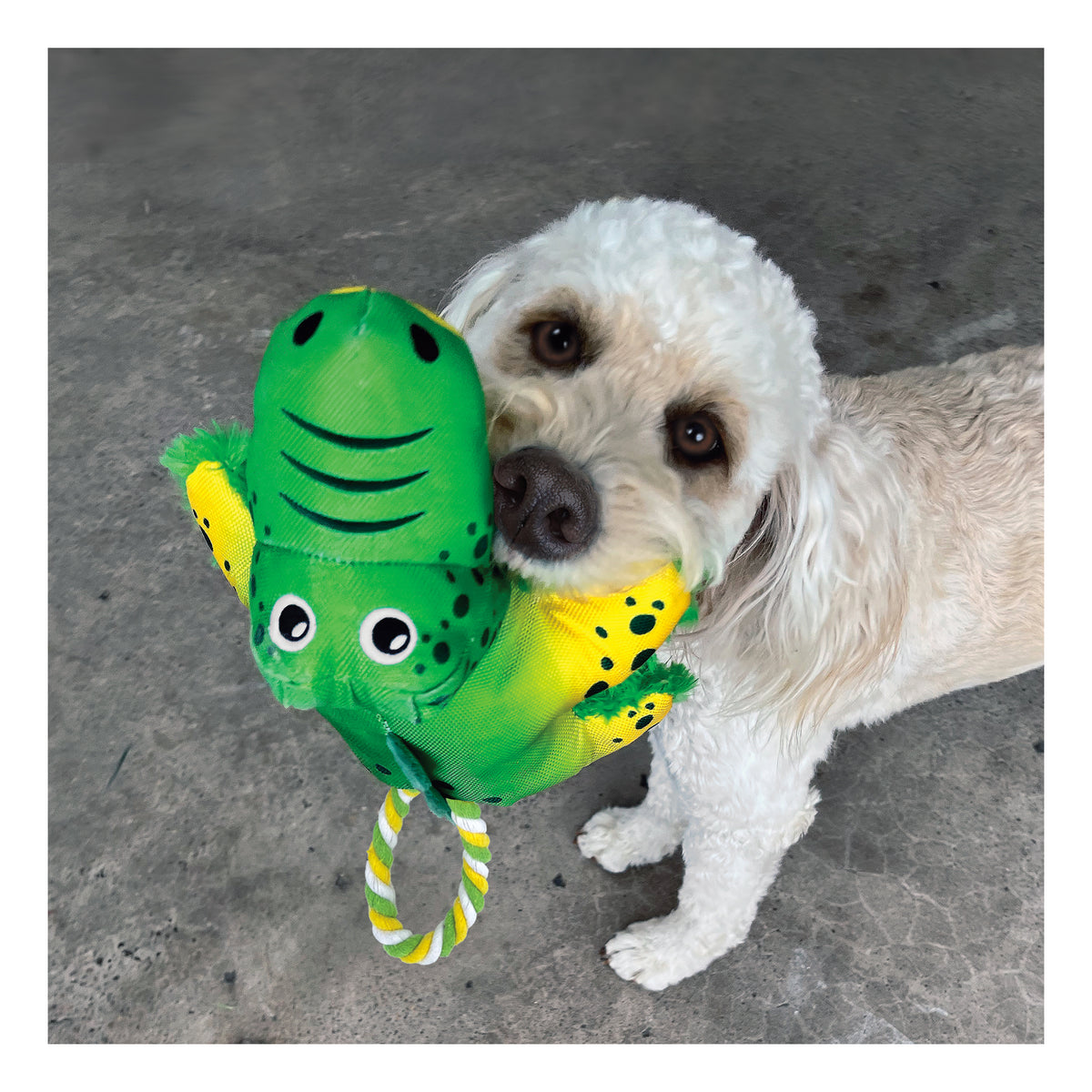 KONG Cozie Tuggz Alligator