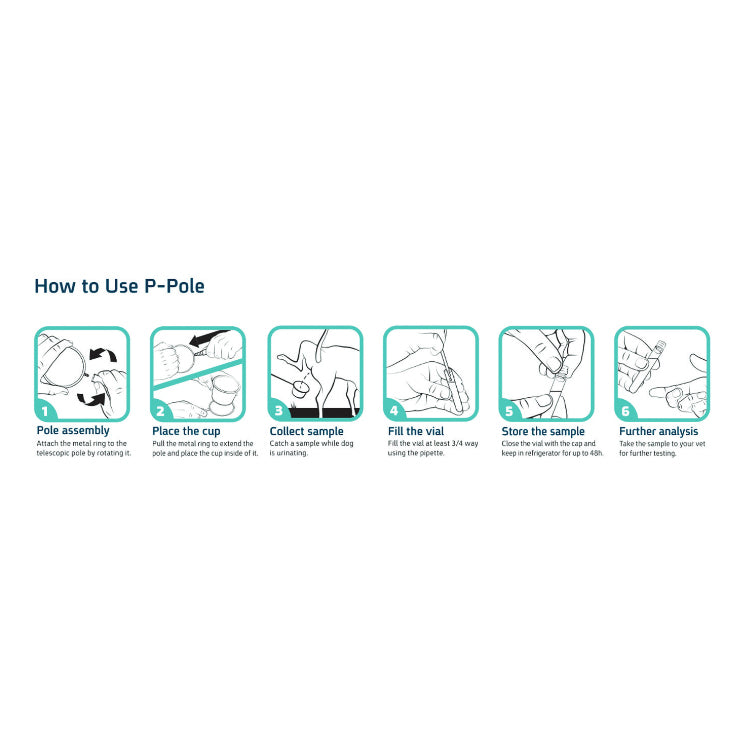 CheckUp P-Pole Dog Urine Sample Collection Kit