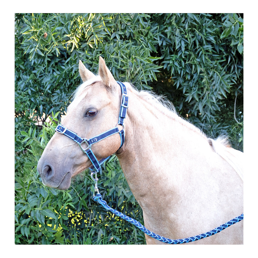 AniPal Comfort Halter &amp; Lead Set for Horses