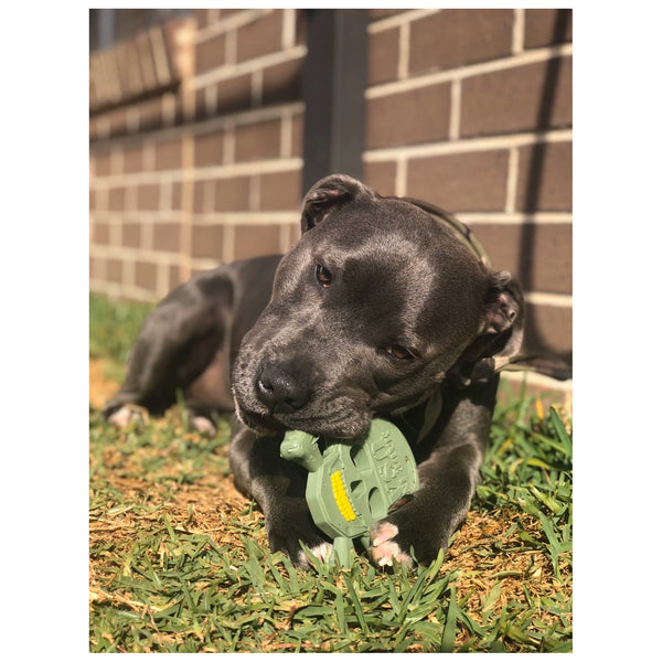 Skull Usa K9 Dog Toys USA-K9 Skull Cross Bones Ultra Durable Nylon