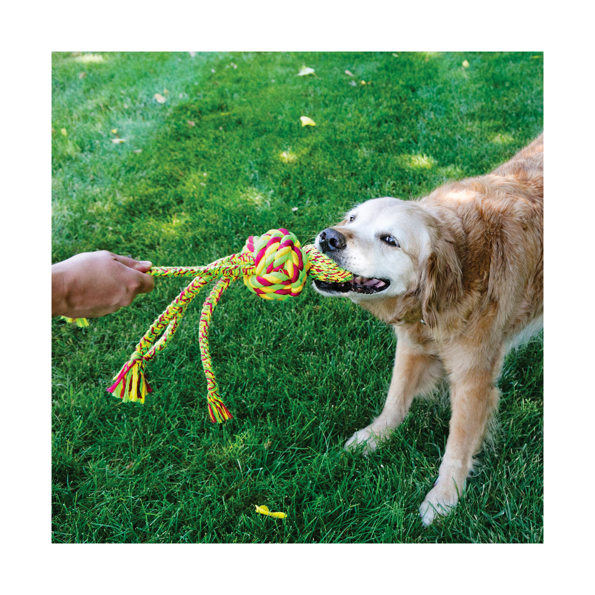 KONG Wubba Weaves with Rope