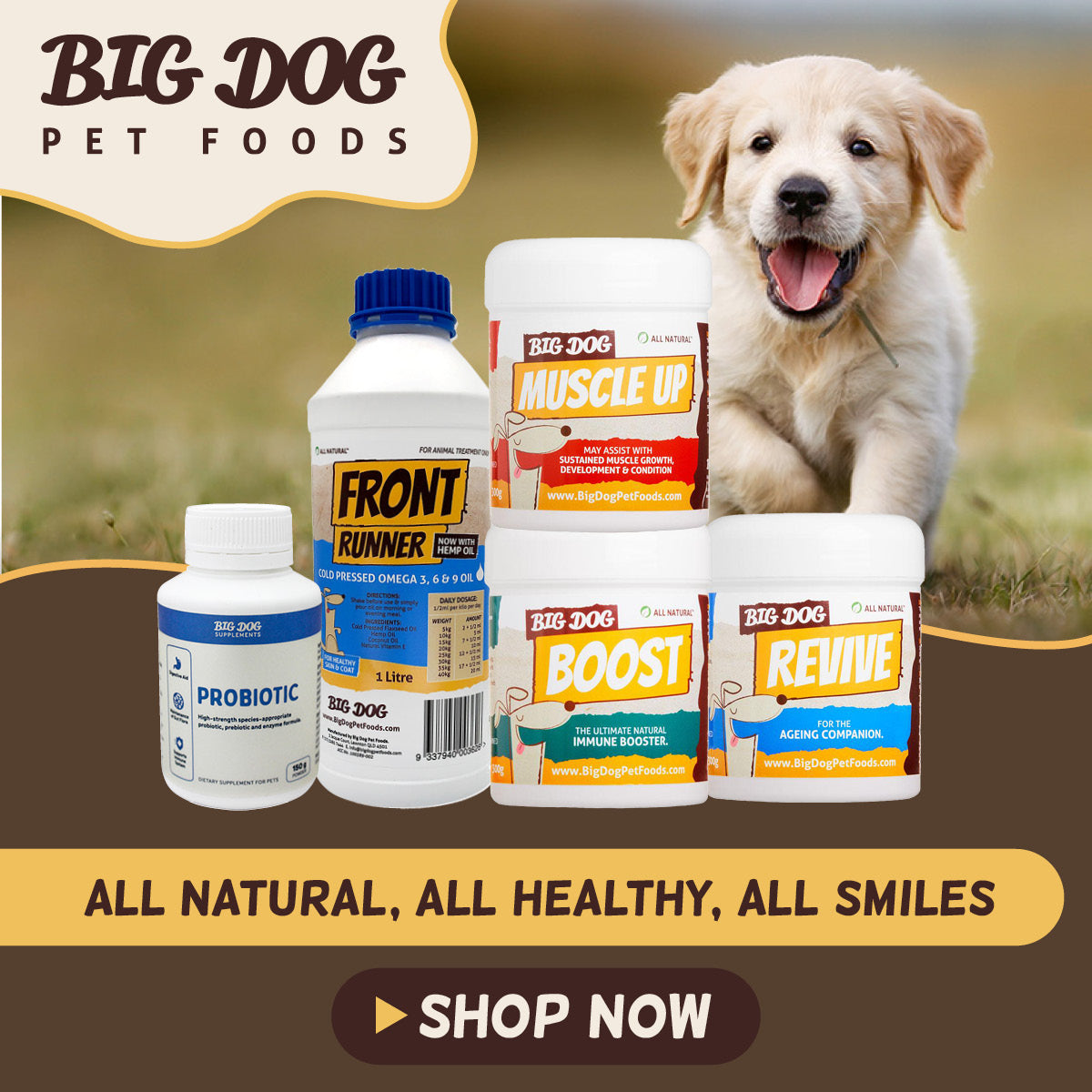 Big Dog Treats and Supplements
