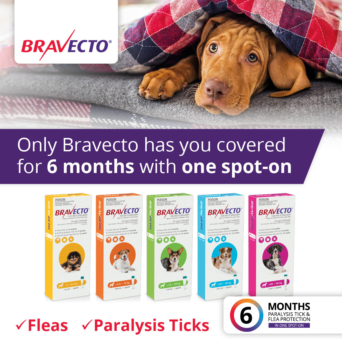 Bravecto Spot-On for Dogs