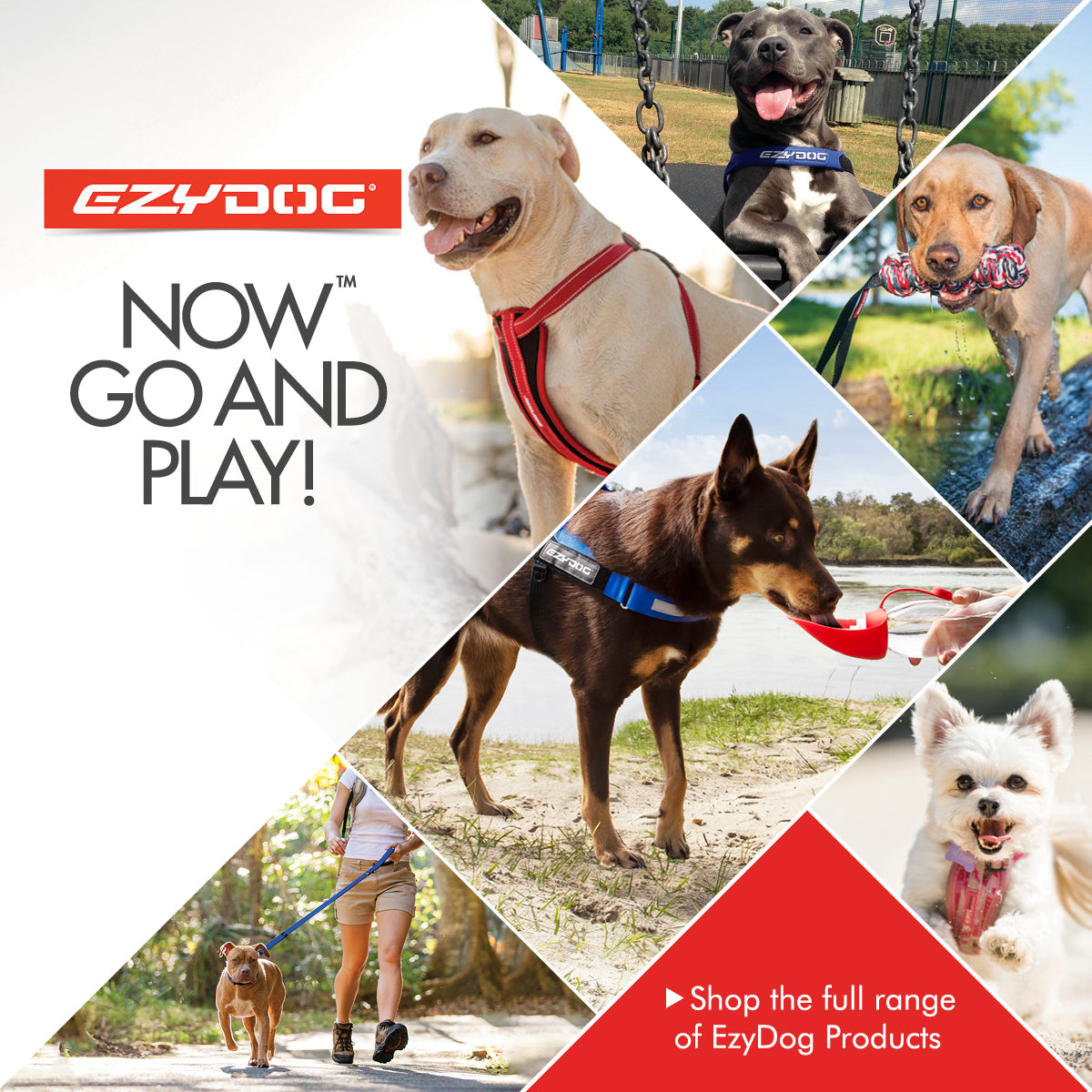 EzyDog Dog Collars, Harnesses & Accessories