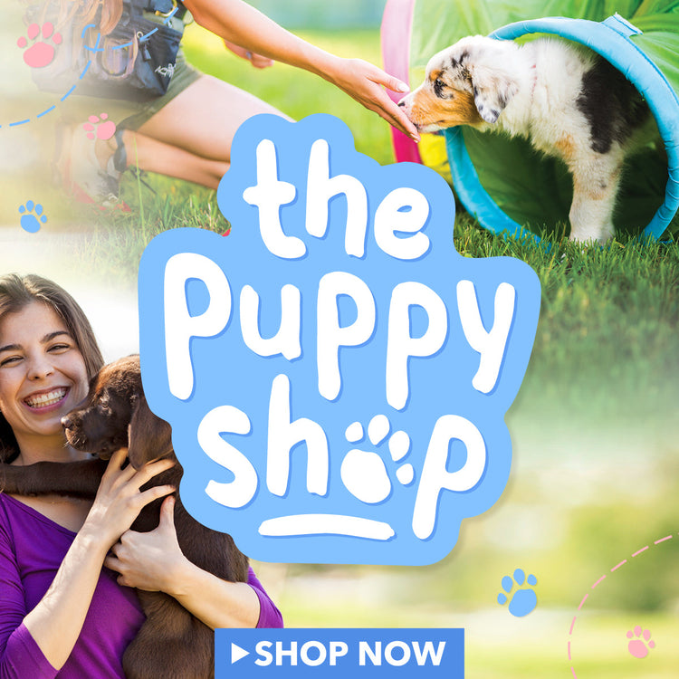 Puppy Supplies