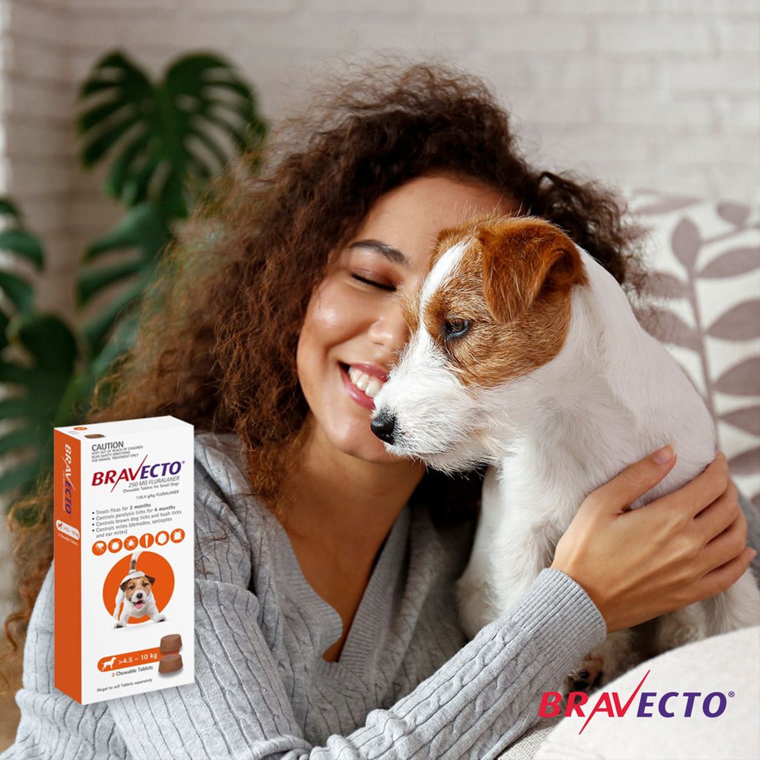 Bravecto Chews for Dogs