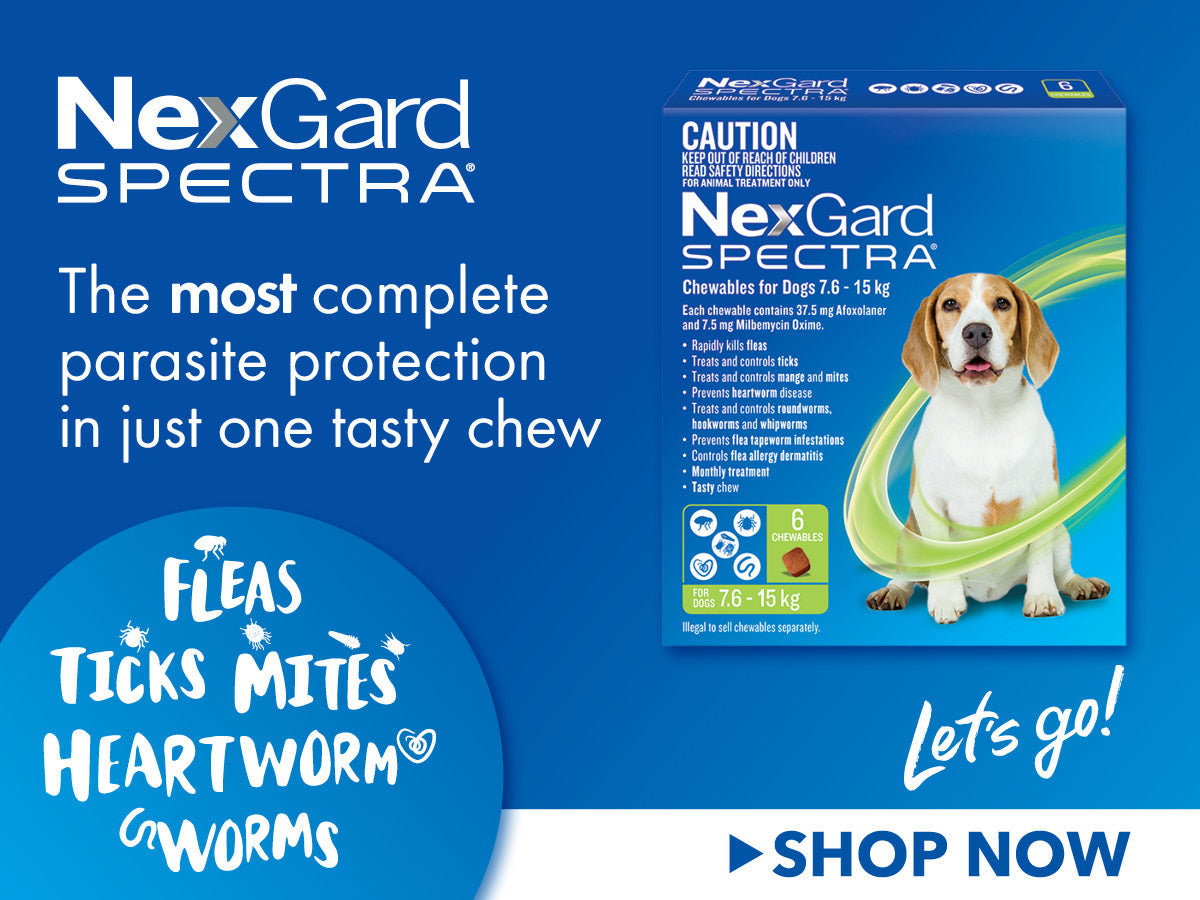 NexGard Spectra Chews for Dogs