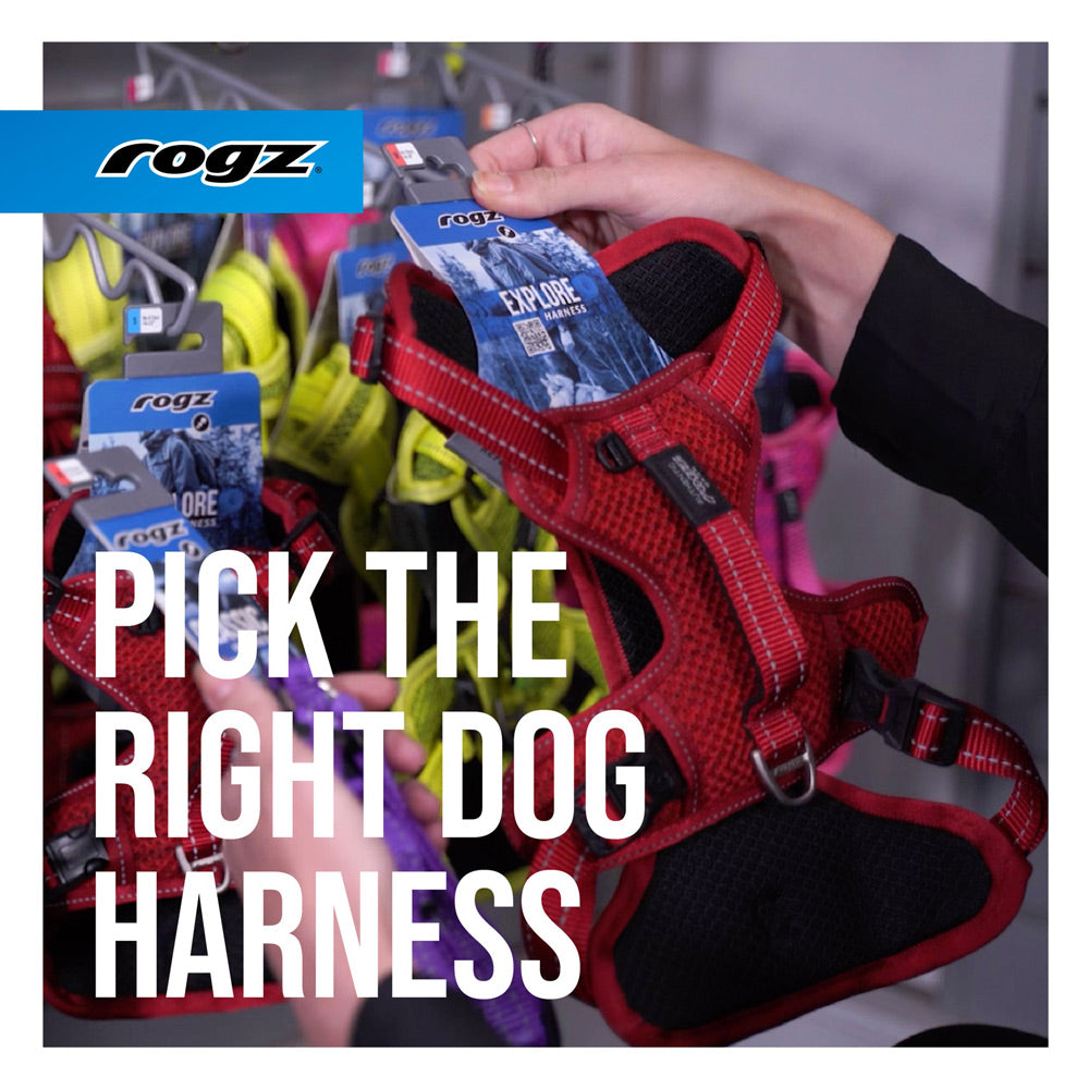 Rogz Dog Harnesses