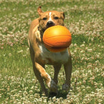 Nylabone Power Play Dog Basket Ball B-Ball Gripz