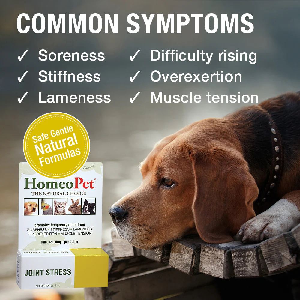 HomeoPet Joint Stress