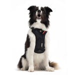 EzyDog Drive Car Safety Harness for Dogs