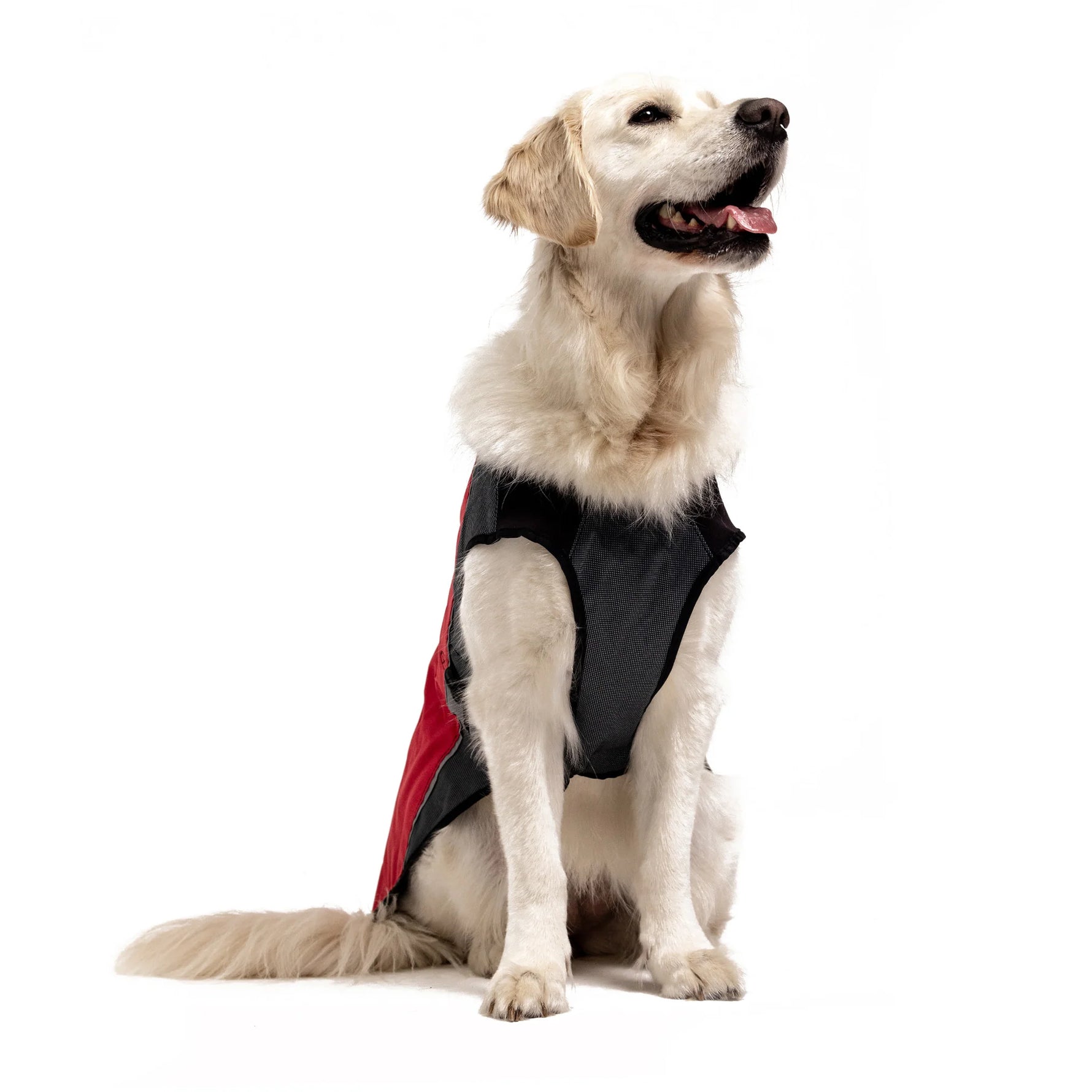 EzyDog Element Jacket - XXL