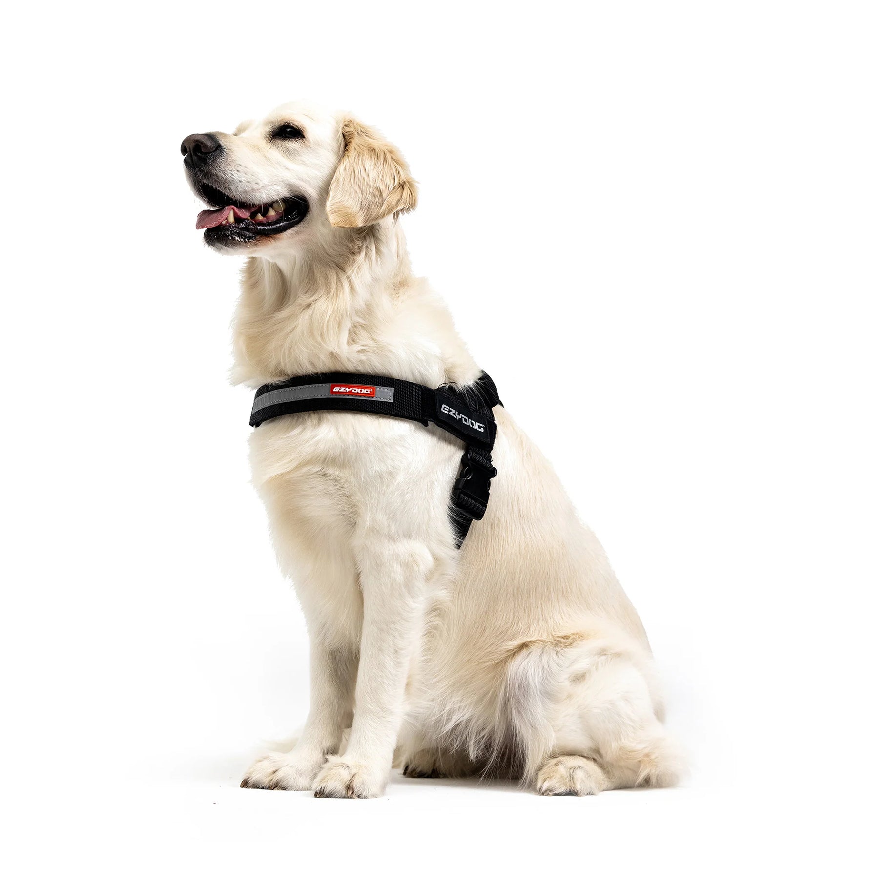 EzyDog Express Harness