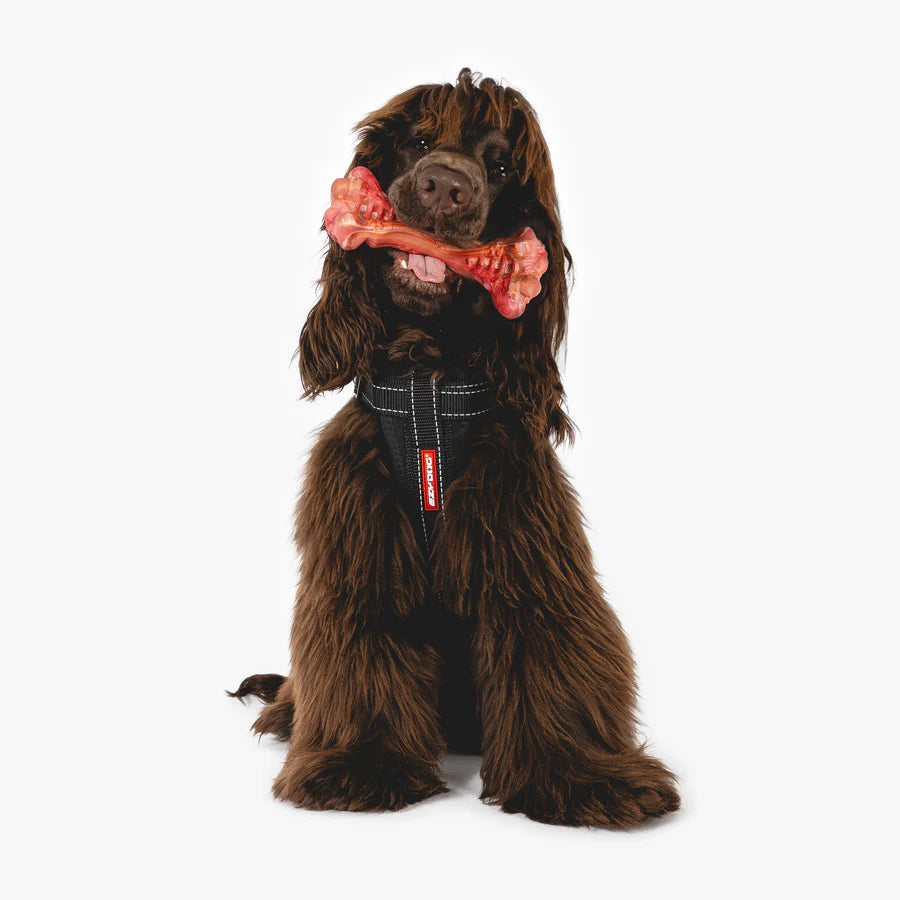 EzyDog EzyBone Chew Toy