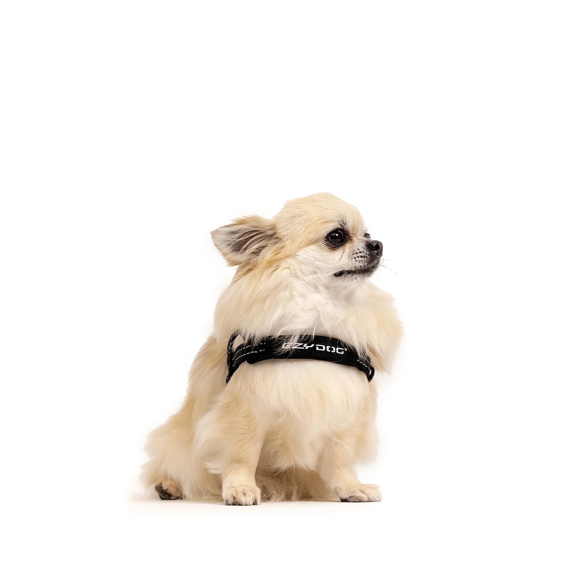 EzyDog Quick-Fit Harness